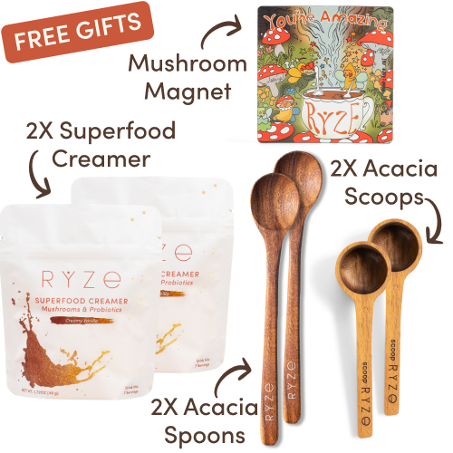 <tc>Mushroom Coffee Kit de Inicio (60 porciones)</tc>