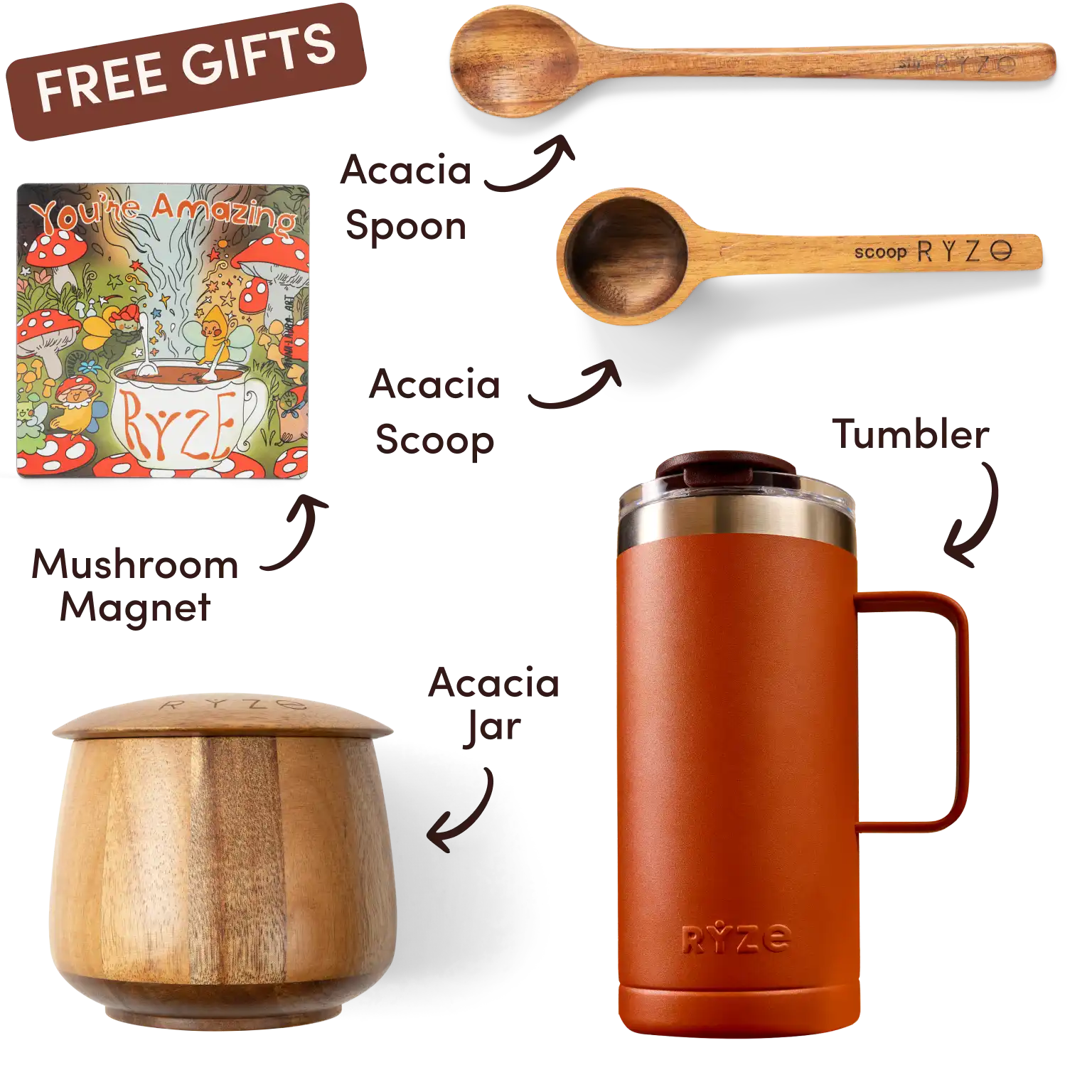 Ryze superfood creamer, acacia spoon, scoop, jar, mushroom magnet, and recipe booklet with 'Free Gifts' label.