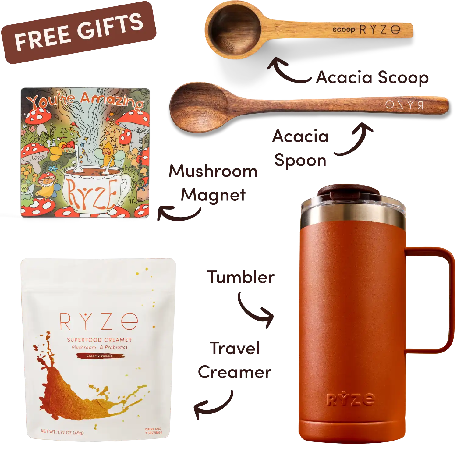 Ryze superfood creamer, acacia spoon, scoop, jar, mushroom magnet, and recipe booklet with 'Free Gifts' label.
