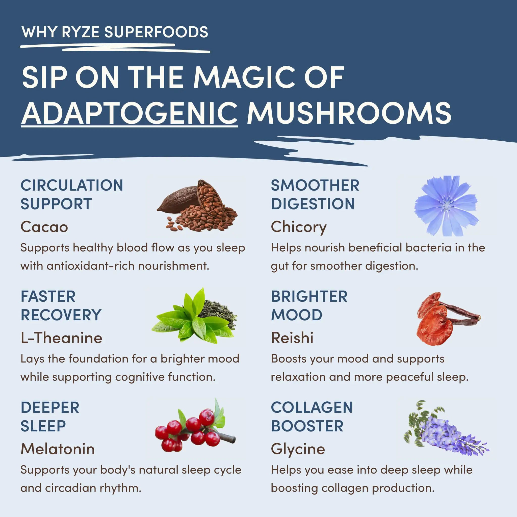 RYZE Ritual Set (Cocoa + Coffee)