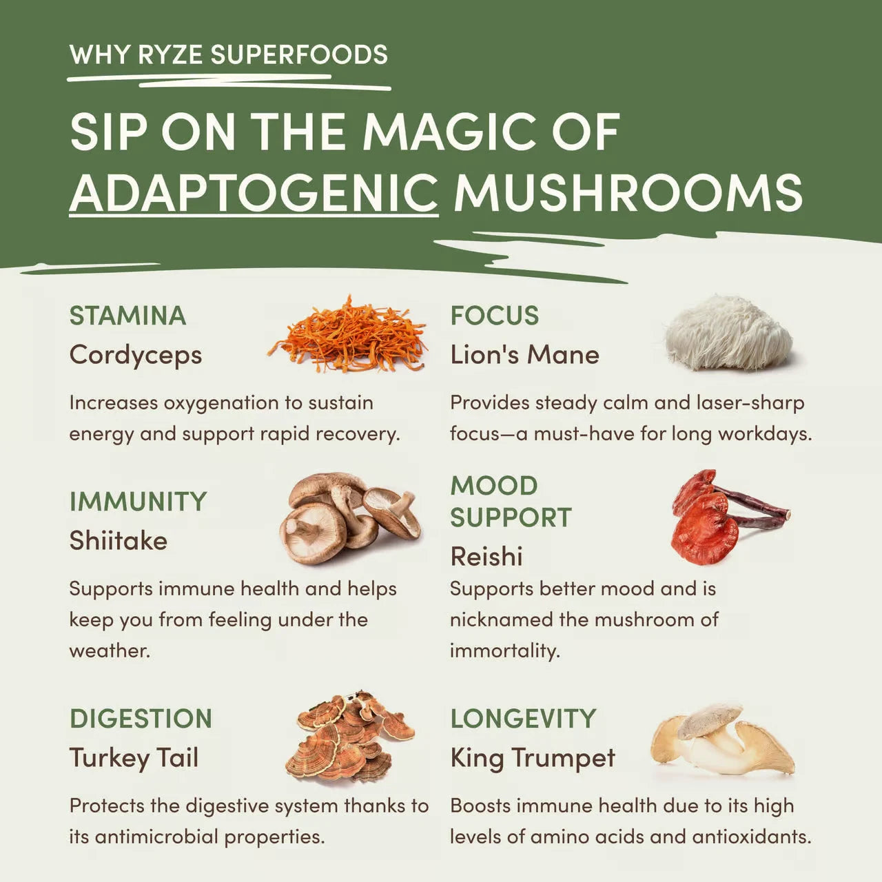 Mushroom Matcha (30 Servings)